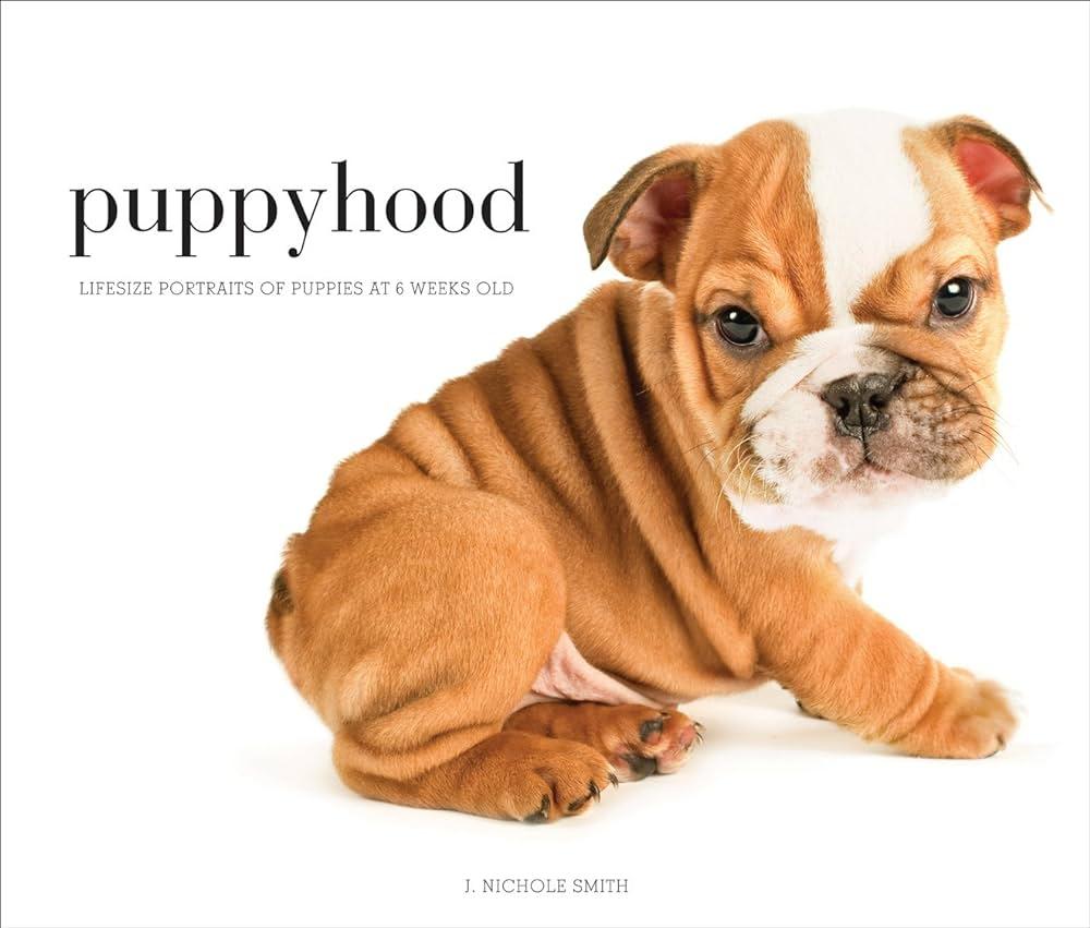 From Puppyhood to Adulthood: Nurturing Your Dog Through Every Life Stage